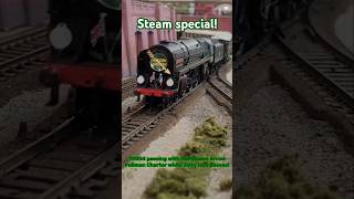 Steam pullman crossover modeltrains [upl. by Ziguard]