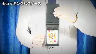 Tenyo 2024 Shocking Pass Case by Tenyo Magic Trick [upl. by Yajet]