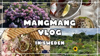 🇸🇪Vlog  스웨덴 말뫼 여행 브이로그 브런치 맛집 뷰맛집 도서관 마트 구경하기 정원 투어🍀 [upl. by Hendrika933]