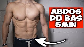 5min Abdos du bas entrainement maison  ventre plat [upl. by Iadrahs815]