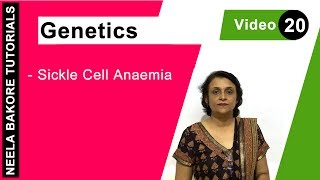 Genetics  Principles of Inheritance amp Variations  NEET  Sickle Cell Anaemia  Neela Bakore [upl. by Atineg]