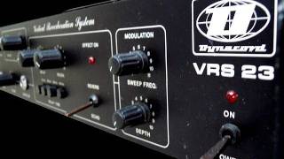 Dynacord VRS23 BBD analog delay [upl. by Nirok]