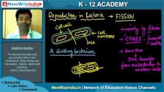 CBSE Class 11 Biology  Types of Bacteria  Biological Classification 003 [upl. by Chellman704]