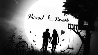 Mohabbat Tujhe Alvida Kar Diya  Slowed  Reverb [upl. by Burford]