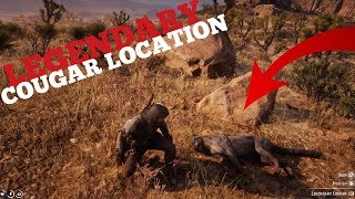 Red Dead Redemption 2  Legendary Cougar Map Location  How To Catch It [upl. by Daj314]