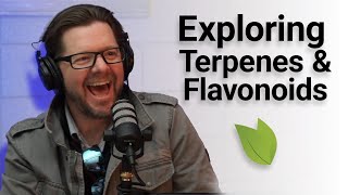 Terpenes amp Flavonoids Unveiled [upl. by Haynor]