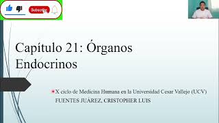 HISTOLOGÍA ÓRGANOS ENDOCRINOS [upl. by Alam]