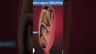 Uterine Contraction 3D Animation गर्भाशय संकुचन 3डी एनिमेशन baby pregnan 3danimation viral [upl. by Zela]