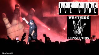 Ice Cube Live During The Straight Into Canada Tour In Enoch Alberta February 24 2024 [upl. by Kidd]