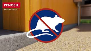 How to protect your home from mice and pests with construction foam [upl. by Cassandre]