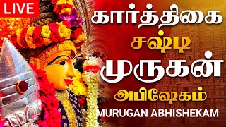 🔴LIVE கார்த்திகை சஷ்டி முருகன் மஹா அபிஷேக காட்சி பாருங்க  Murugan Abhishekam murugan abhishekam [upl. by Amsab]