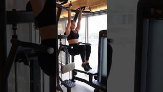 Hanging Knee Raises  Calisthenics Exercise [upl. by Attenborough]