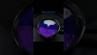 보라amp파랑amp흰색 🎨 실링왁스 waxsealing asmr colors [upl. by Eremahs253]