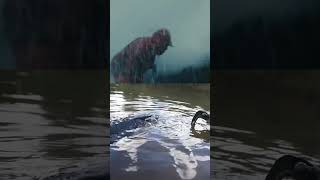 The Mosasaurus  Prehistoric planet mosasaurus edit movie dinosaur fyp foryou [upl. by Viridissa]