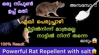 100 എലി പെരുച്ചാഴി വീട്ടിൽനിന്ന് മാത്രമല്ല നാട്ടിൽ നിന്ന് തന്നെഓടുംPowerful Rat Repellent with salt [upl. by Nine610]