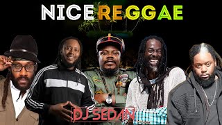 Nice Reggae Mix Morgan Heritage Duane Stephenson Luciano Buju Banton Chronixx Maxi Priest [upl. by Ikkela]