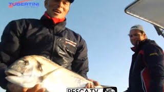 Tecnica di PESCA delle ORATE a BOLENTINO con Marco VOLPI  Peschiamo in barca con le canne  PescaTV [upl. by Hazeefah]