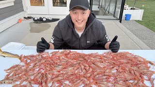 BC spot prawn 🦐 limited out Winter salmon fishing test 斑点虾自由！ 冬季三文鱼挑战成功！ [upl. by Eizdnil339]