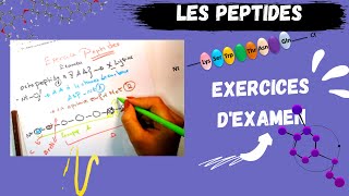 ðŸ“£PEPTIDS Exercice dexamen des Amino acids amp PeptidsðŸ˜ PEPTIDSMEDECINEâ€‹ BIOLOGY [upl. by Alemat997]