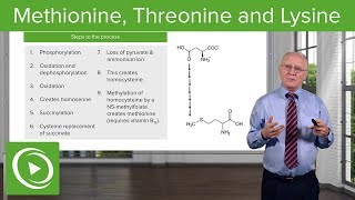 How To Pronounce Methionylthreonylthreonylglutaminylarginyltyrosylglutamylserylleucylphenylalanylala [upl. by Aniat]