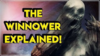 Destiny 2 Lore  The Winnower VS The Witness Explained  Myelin Games [upl. by Jonas]