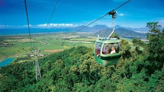 Skyrail Rainforest Cableway Day Trip from Cairns Australia [upl. by Ycam]