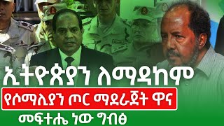 ኢትዮጵያን ለማዳከም የሶማሊያን ጦር ማደራጀት ዋና መፍትሄ ነው ግብጽ kings of Abbay Ethiopian News [upl. by Einnoj118]