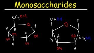 Monosaccharides  Glucose Fructose Galactose amp Ribose  Carbohydrates [upl. by Dlarrej]