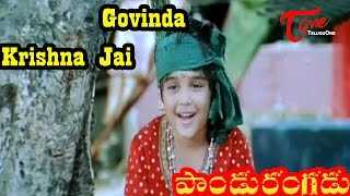 Pandurangadu  Govinda Krishna Jai  Viswanath  Telugu Song [upl. by Francie]