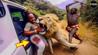 35 SHOCKING When Animals Go On A Rampage Interesting Animal Moments CAUGHT ON CAMERA 1 [upl. by Eidnarb733]