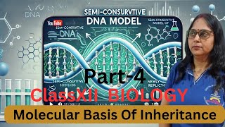 molecular basis of inheritance4 II class 12th II NCERT II NEET II Botany [upl. by Wesla868]