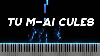 Tu mai cules  Mai regasit  Instrumental Pian  Negativ Pian  Tutorial [upl. by Mcculloch]