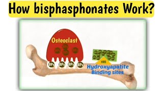 Mechanism action of bisphasphonates  How bisphasphonates work  Doctors goal [upl. by Nnaxor]