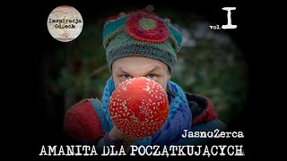 Amanita Muscaria dla poczatkujących vol 1  JasnoŻerca [upl. by Queri894]