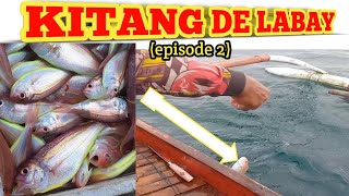 eps 02 CATCHING BISUGO  traditional long line fishing  silay city FISHda TV [upl. by Idnew144]