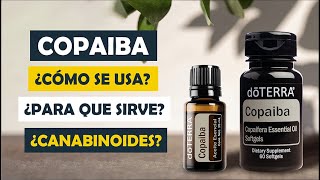 Todo lo que necesitas saber del aceite esencial de Copaiba cómo funciona y para qué sirve [upl. by Elodia]