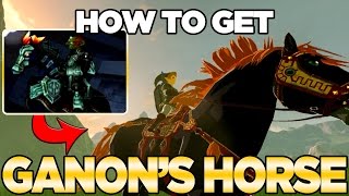 How to get Ganons Horse  Giant Horse in Breath of the Wild  Austin John Plays [upl. by Lura]