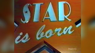 A Star is Born  RTL4  Ron Brandsteder  Musical  Talentenjacht Finale  01061995 [upl. by Rog201]