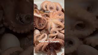 P 쭈꾸미데침 Parboiled Webfoot Octopus [upl. by Fujio249]