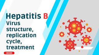 In depth explanation of Hepatitis B Virus structure replication cycle treatment [upl. by Wickham42]