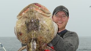 LINGCOD FISHING  The PROOF our tips work  Catch Giant Cod [upl. by Kcirdahs]