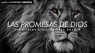 Las Promesas de Dios  Versiculos Biblicos Para Dormir [upl. by Armillia]