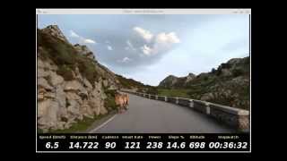 Los Lagos de Covadonga Real Life Video RLV [upl. by Sible]