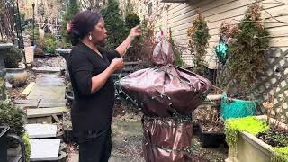 Transplanting Store Bought Hellebores in the garden Taking Down Remaining of Lights amp Decorations [upl. by Raoul]