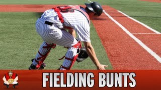 Catching 101  Baseball Catchers Fielding Bunts [upl. by Maillw263]