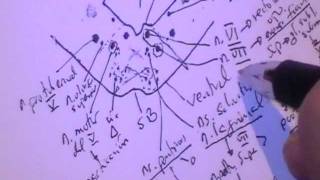 NEUROANATOMIA 20 TALLO CEREBRAL PUENTE Configuracion Interna [upl. by Richy]