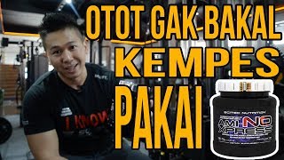 Review Amino Xpress Scitec Nutrition Suplemen Anti Katabolik Saat Latihan [upl. by Bajaj665]