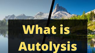 what is autolysis autolysis shorts lysosomes [upl. by Olsson408]