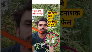 भंग से करें कीट नियंत्रण agriculture farming organicfarmingshortsviral [upl. by Diver]