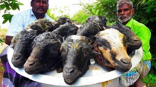 10 Goat Heads Recipe Lamb Head Curry in my village food fun village [upl. by Aveer]